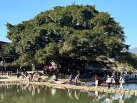 福建土樓 世界文化遺產 農村生活體驗