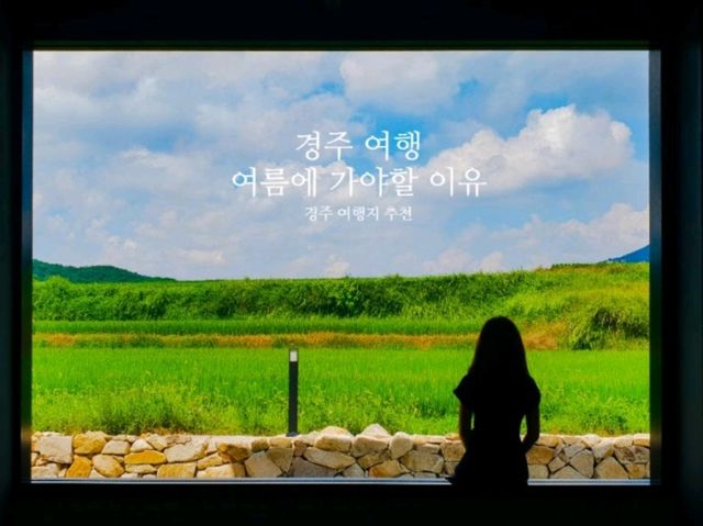 여름 여행을 경주로 가야하는 이유, 꽃과 함께