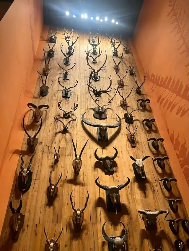 “Neon Dreams: Shanghai’s Colourful Nights”