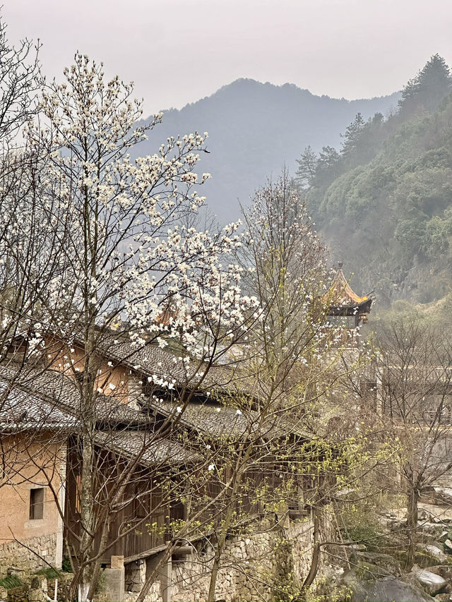 📍 Wangxian Valley – A Hidden Mountain Wonderland in Jiangxi