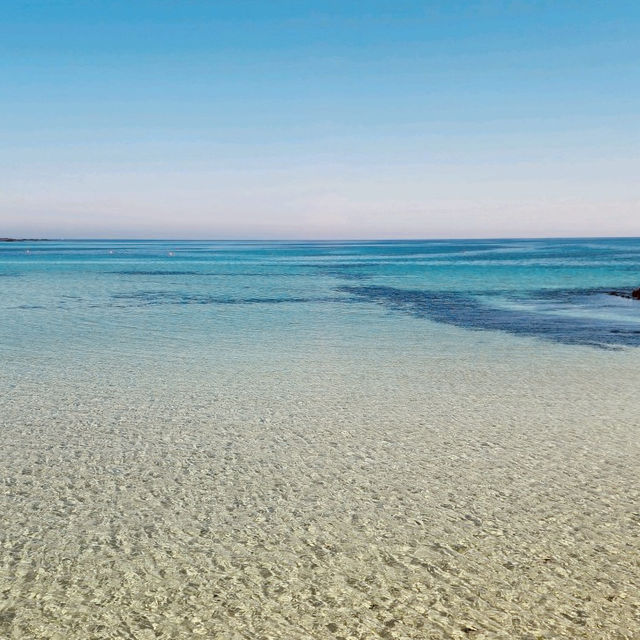 Conveniently Located for Exploring Eastern Jeju's Hidden Gems