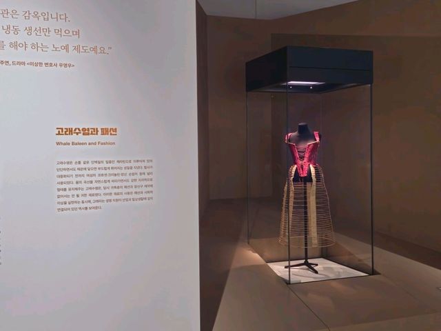 인천 국립 해양박물관 둘러보기