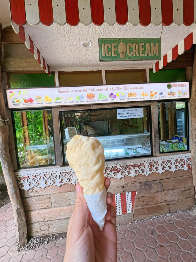 Bee Farm My Sweet Escape in Bohol 🐝