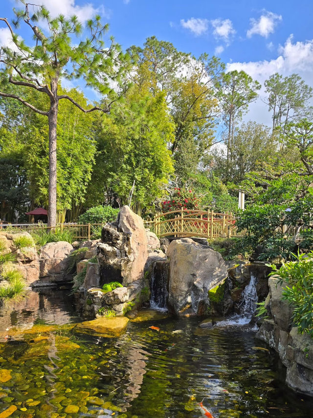 A Magical Escape to Japan… in Florida! 🇯🇵✨