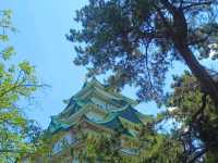 戰國名城 名古屋城