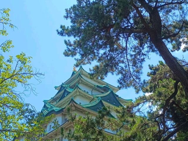 戰國名城 名古屋城