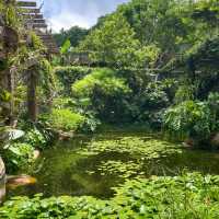 🌿 Escape into Nature at Qingxiu Mountain, Nanning (南宁青秀山)