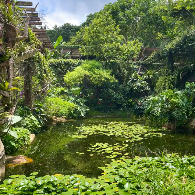 🌿 Escape into Nature at Qingxiu Mountain, Nanning (南宁青秀山)