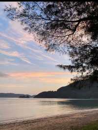 奄美大島で心ほどける島時間。青い海と緑の森に癒される旅