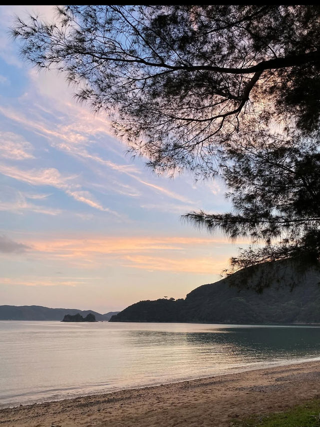奄美大島で心ほどける島時間。青い海と緑の森に癒される旅