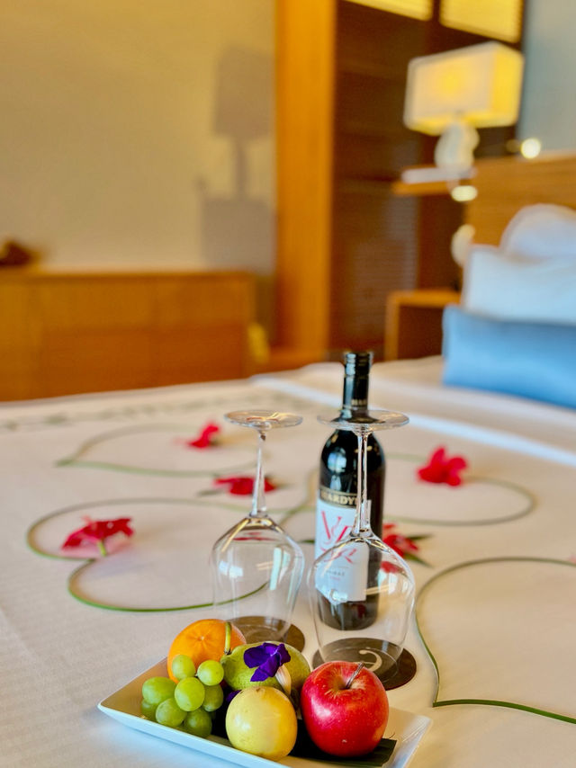 🇲🇻モルディブの楽園【Cinnamon Velifushi Maldives】に2泊3日でステイ🏖️🌺