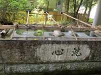 【宮崎・高千穂町】⛩️高千穂神社〜縁を結び心を結ぶ夫婦杉〜