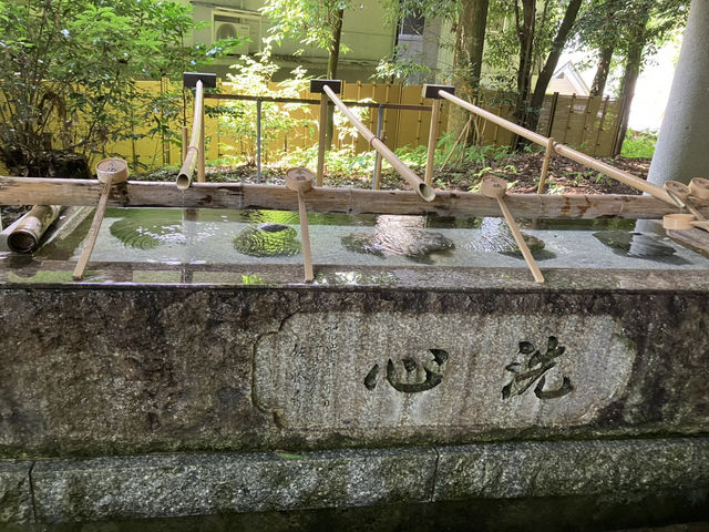 【宮崎・高千穂町】⛩️高千穂神社〜縁を結び心を結ぶ夫婦杉〜