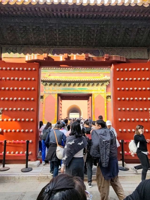 Discover the Forbidden City: Feel the Pulse of History