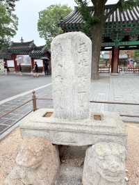 전주 사진 명소 알려드립니다 🩵