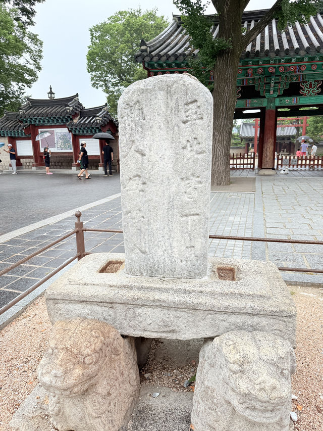 전주 사진 명소 알려드립니다 🩵