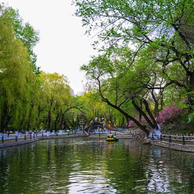 Visit Harbin Zhaolin Park (兆麟公园) and War Memorial
