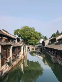 Beyond the Bridges: The Magic of Wuzhen