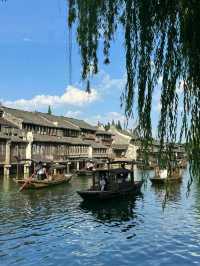 From Indigo to Internet: The Living Legacy of Wuzhen