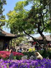 A Philosopher’s Stone Symphony in Yangzhou