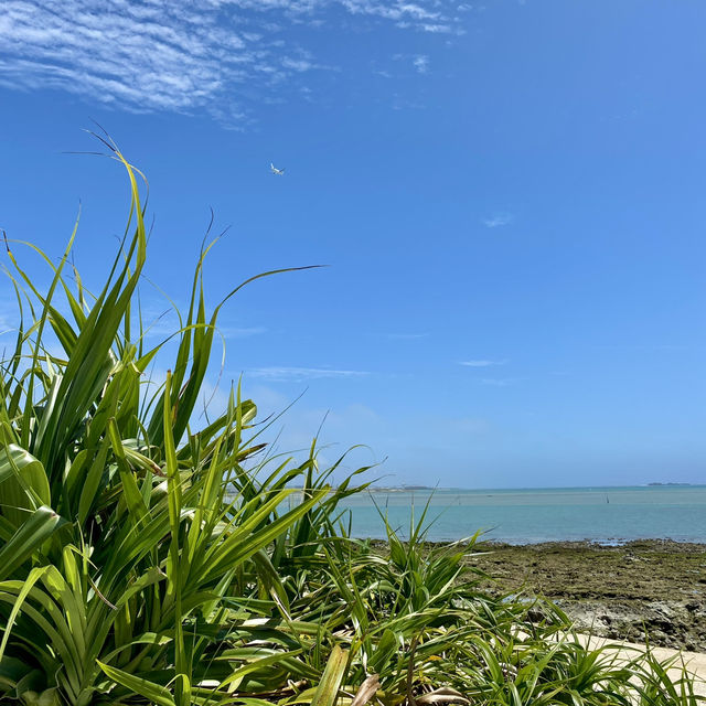 🏝【2泊3日で沖縄本島縦断旅！海・島・コーヒーを満喫】 