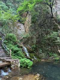 【重渡溝】終極遊玩攻略 | 北國小九寨溝嘅竹林秘境 🎋
