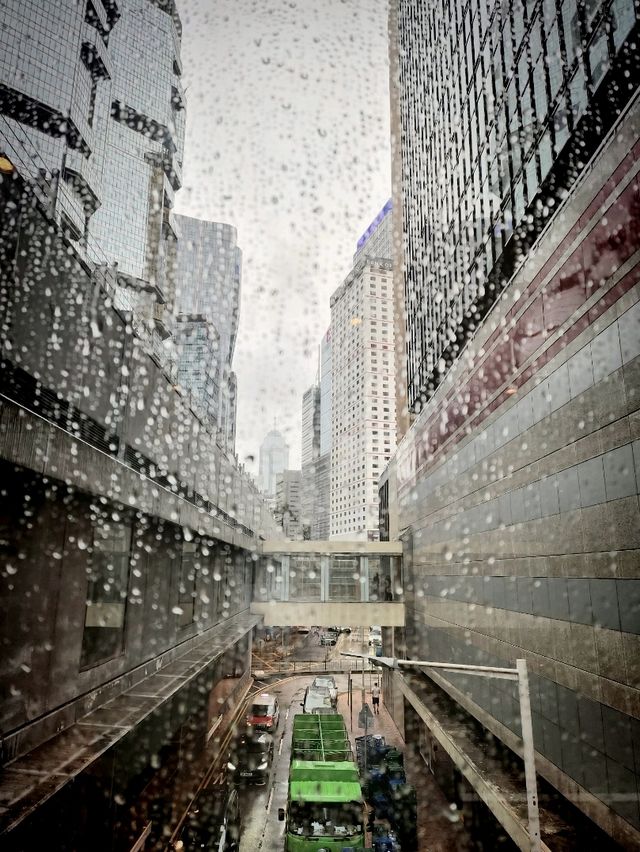 大雨過後，可以買一點小東西嗎？