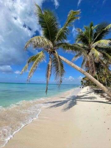 Tropical Paradise at Isla Saona