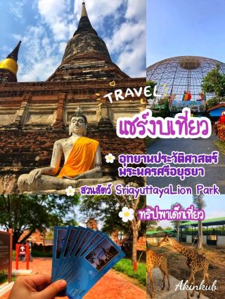 Share the budget for a family trip to Ayutthaya.