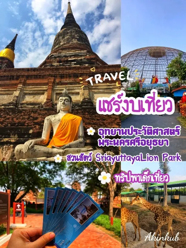 แชร์งบเที่ยวทริปครอบครัว อยุธยา