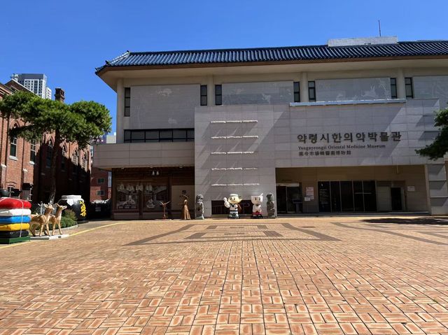 【大邱】沉浸式體驗韓醫藥文化｜韓醫藥令博物館遊記分享