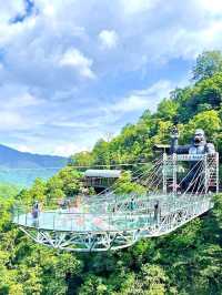 “Gulong Gorge: Guangdong’s Jurassic Adventure”