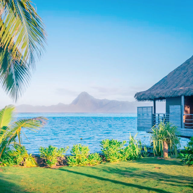 パペーテ🏝️