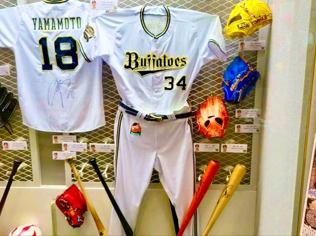 Baseball Hall of Fame and Museum – A Journey Through Japan’s Baseball Legacy