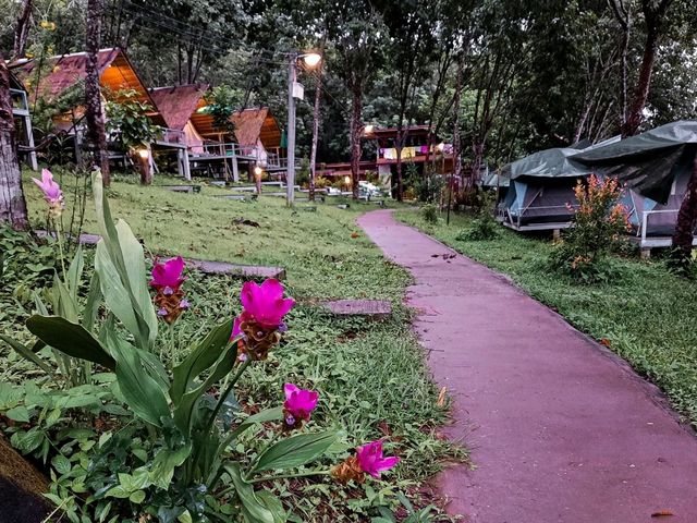 ชวน Camping @สวนเหนือเคียงโขง อ.สังคม จ.หนองคาย ชวน Camping @สวนเหนือเคียงโขง อ.สังคม จ.หนองคาย