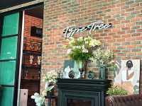  ⸻  🌳☕ Type Tree Café & Restaurant – คาเฟ่สวนร่มรื่