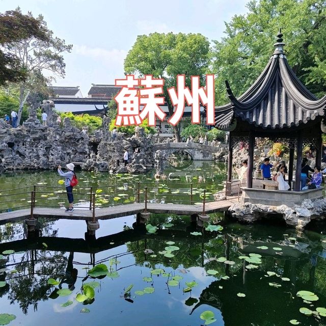 你一句春不晚，我就到了真江南