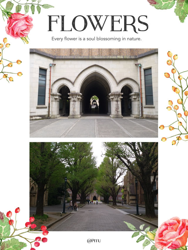 西洋風建築打卡熱點  