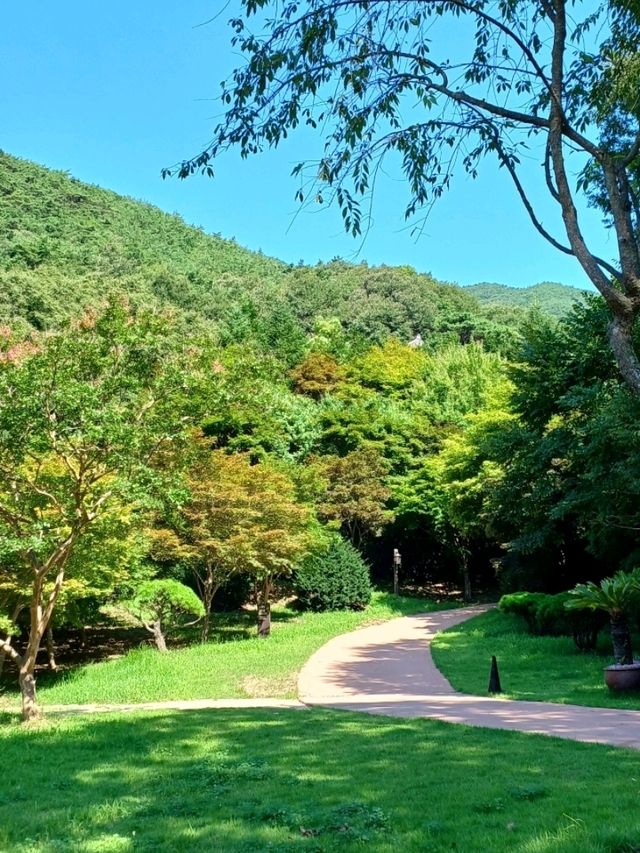 고즈넉한 산사에서의 특별한 순간 고즈넉한 산사에서의 특별한 순간