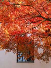 Wuxi and Taihu