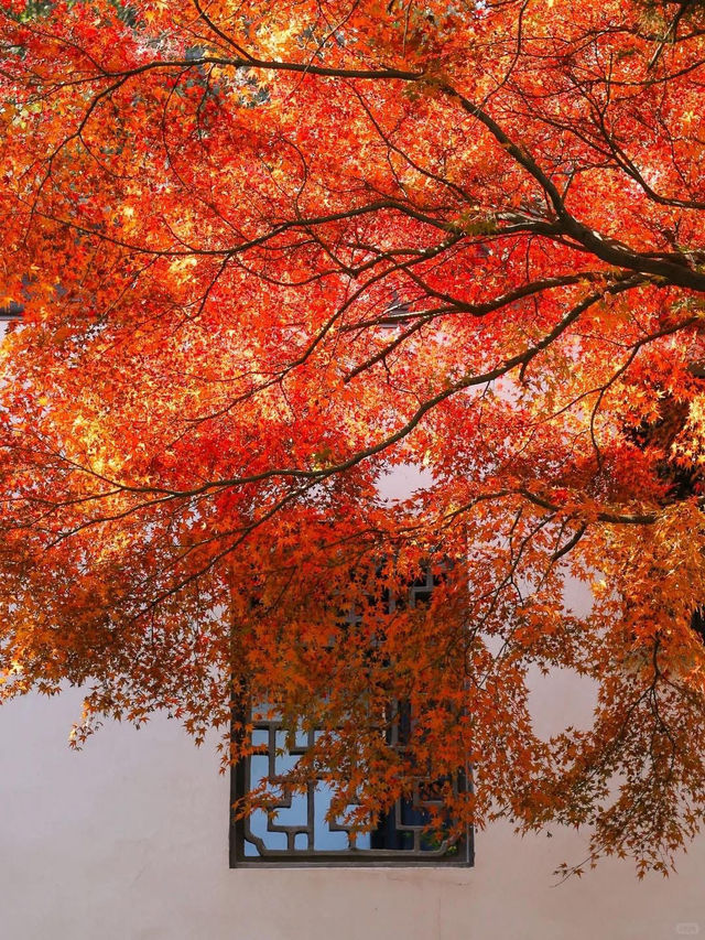 Wuxi and Taihu
