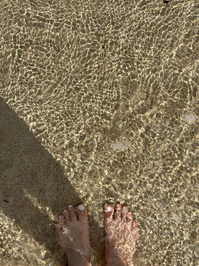 일본 해안 100선에 선정된 해변 🫧