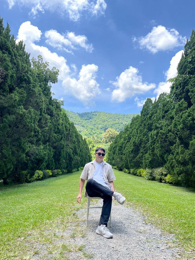 綠蔭之間——清邁 Cypress Lanes 的靜謐漫步