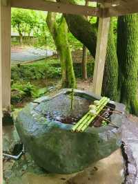 유후인의 보석, 킨린호수 옆 신사 산책 ⛩️✨