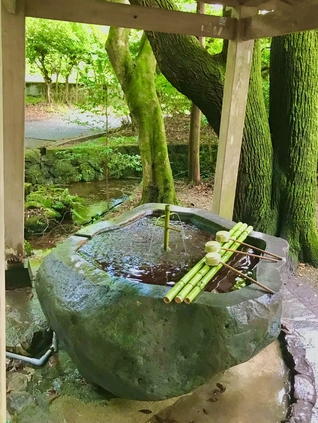 유후인의 보석, 킨린호수 옆 신사 산책 ⛩️✨