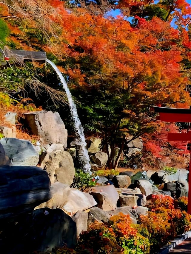 【秋のお出かけに✨】📍勝尾寺ライトアップで“夜の紅葉絶景”を堪能！