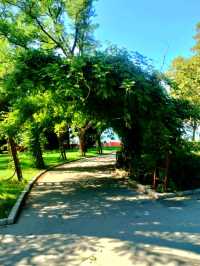 俯瞰畢爾巴鄂最靚景點🌳