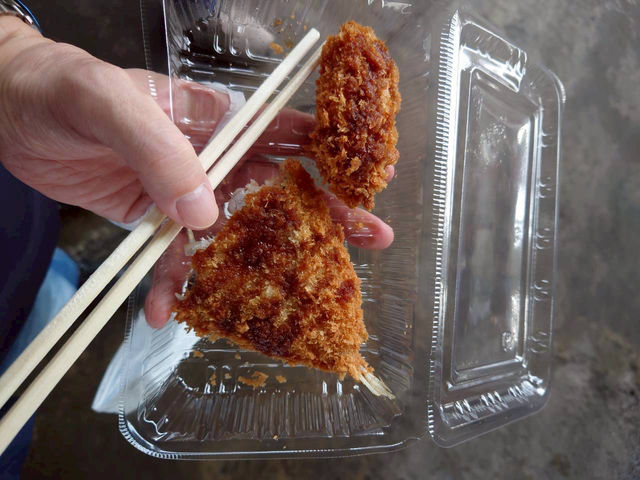 自然満喫ツアー