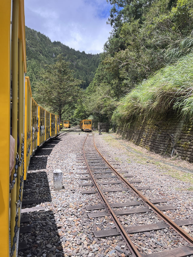 避暑勝地⛰️太平山與大自然的療癒時光