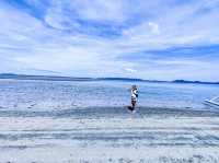 When the tide vanished like a ghost!